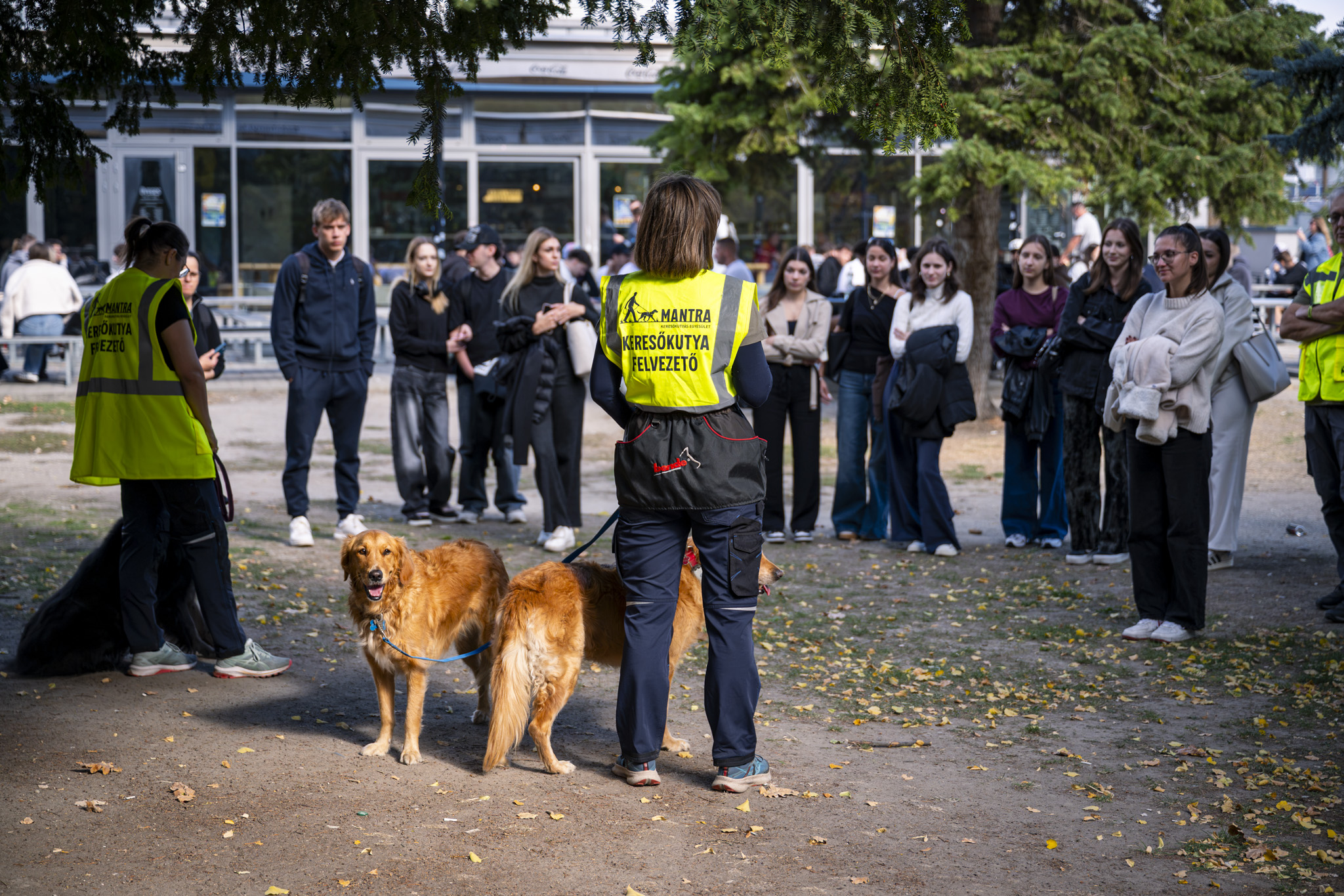 wellbeing_het (10).jpg